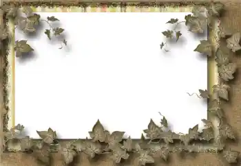 श्रेणी से फ़ोटो प्रभाव विभिन्न № 39069