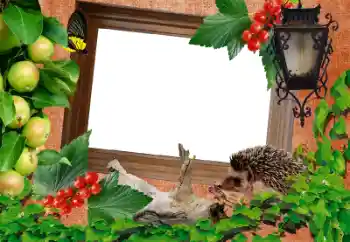 श्रेणी से फ़ोटो प्रभाव विभिन्न № 39216