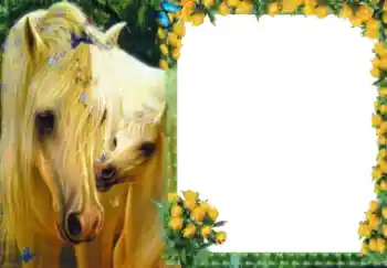 श्रेणी से फ़ोटो प्रभाव विभिन्न № 40511