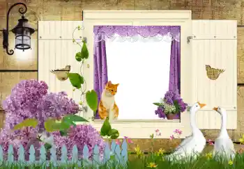 श्रेणी से फ़ोटो प्रभाव विभिन्न № 42597