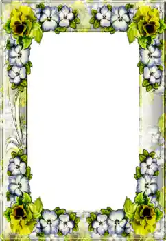 श्रेणी से फ़ोटो प्रभाव विभिन्न № 4367