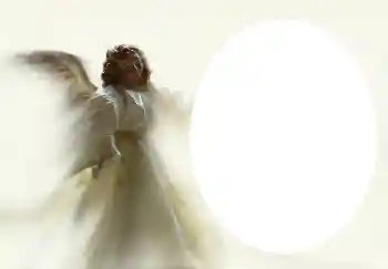 श्रेणी से फ़ोटो प्रभाव विभिन्न № 4541