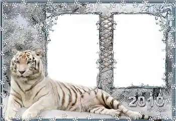 श्रेणी से फ़ोटो प्रभाव विभिन्न № 45917