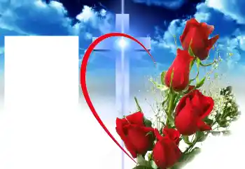 श्रेणी से फ़ोटो प्रभाव विभिन्न № 46964