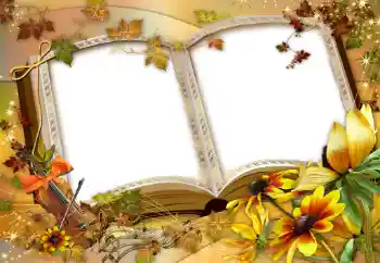 श्रेणी से फ़ोटो प्रभाव विभिन्न № 47137