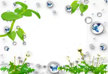 श्रेणी से फ़ोटो प्रभाव विभिन्न № 47168