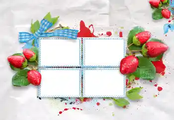 श्रेणी से फ़ोटो प्रभाव विभिन्न № 47209