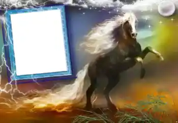 श्रेणी से फ़ोटो प्रभाव विभिन्न № 47248