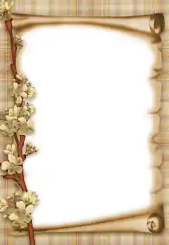 श्रेणी से फ़ोटो प्रभाव विभिन्न № 47303