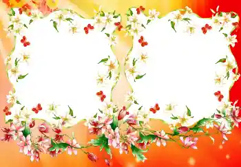 श्रेणी से फ़ोटो प्रभाव विभिन्न № 4894