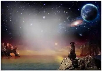 श्रेणी से फ़ोटो प्रभाव विभिन्न № 49504