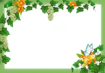 श्रेणी से फ़ोटो प्रभाव विभिन्न № 49547