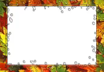 श्रेणी से फ़ोटो प्रभाव विभिन्न № 49551