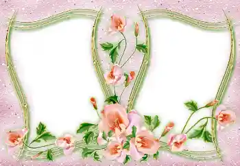 श्रेणी से फ़ोटो प्रभाव विभिन्न № 4982