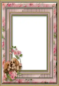 श्रेणी से फ़ोटो प्रभाव विभिन्न № 50746