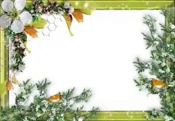 श्रेणी से फ़ोटो प्रभाव विभिन्न № 52034