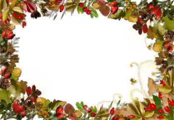 श्रेणी से फ़ोटो प्रभाव विभिन्न № 52161