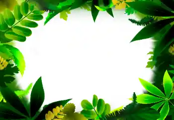 श्रेणी से फ़ोटो प्रभाव विभिन्न № 56530