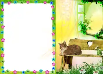 श्रेणी से फ़ोटो प्रभाव विभिन्न № 579