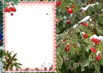 श्रेणी से फ़ोटो प्रभाव विभिन्न № 581