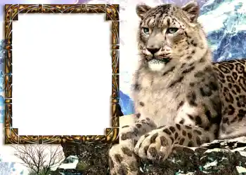 श्रेणी से फ़ोटो प्रभाव विभिन्न № 585