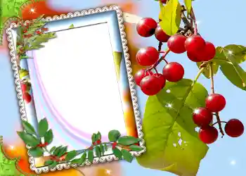 श्रेणी से फ़ोटो प्रभाव विभिन्न № 587