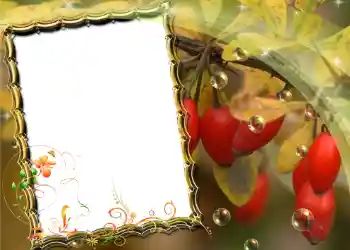 श्रेणी से फ़ोटो प्रभाव विभिन्न № 588