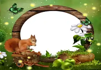 श्रेणी से फ़ोटो प्रभाव विभिन्न № 59010