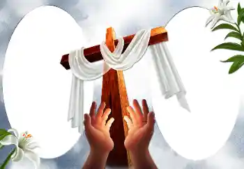 श्रेणी से फ़ोटो प्रभाव विभिन्न № 59097