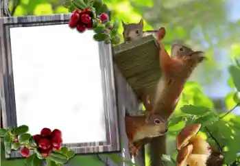 श्रेणी से फ़ोटो प्रभाव विभिन्न № 60195