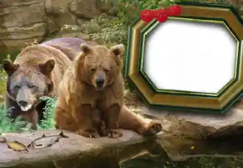 श्रेणी से फ़ोटो प्रभाव विभिन्न № 60215