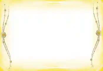 श्रेणी से फ़ोटो प्रभाव विभिन्न № 60289