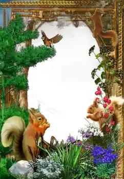 श्रेणी से फ़ोटो प्रभाव विभिन्न № 61573