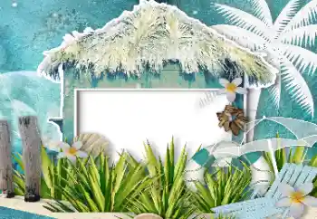 श्रेणी से फ़ोटो प्रभाव विभिन्न № 61623