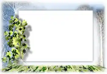 श्रेणी से फ़ोटो प्रभाव विभिन्न № 62634