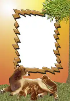 श्रेणी से फ़ोटो प्रभाव विभिन्न № 62681