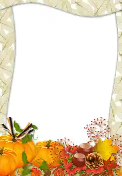 श्रेणी से फ़ोटो प्रभाव विभिन्न № 62794