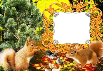 श्रेणी से फ़ोटो प्रभाव विभिन्न № 64207