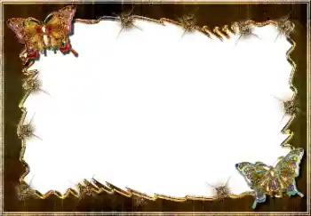 श्रेणी से फ़ोटो प्रभाव विभिन्न № 64448