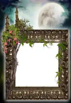 श्रेणी से फ़ोटो प्रभाव विभिन्न № 64455