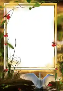 श्रेणी से फ़ोटो प्रभाव विभिन्न № 64458