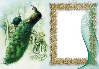 श्रेणी से फ़ोटो प्रभाव विभिन्न № 64460