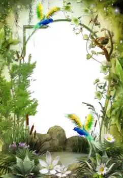 श्रेणी से फ़ोटो प्रभाव विभिन्न № 64461