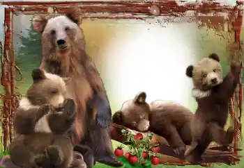 श्रेणी से फ़ोटो प्रभाव विभिन्न № 64467