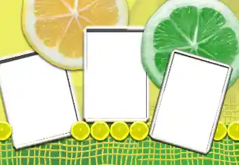 श्रेणी से फ़ोटो प्रभाव विभिन्न № 6467