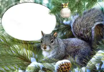 श्रेणी से फ़ोटो प्रभाव विभिन्न № 65735