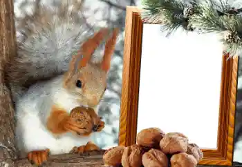 श्रेणी से फ़ोटो प्रभाव विभिन्न № 65737