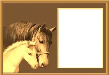 श्रेणी से फ़ोटो प्रभाव विभिन्न № 67145