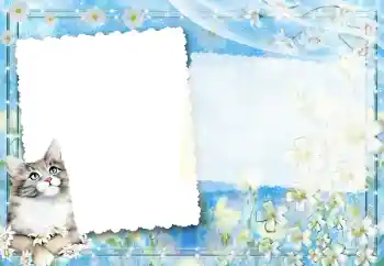 श्रेणी से फ़ोटो प्रभाव विभिन्न № 67194