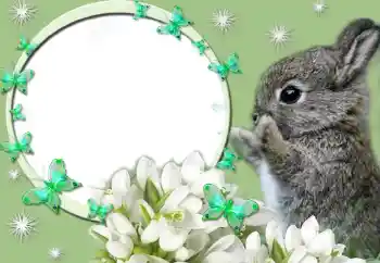 श्रेणी से फ़ोटो प्रभाव विभिन्न № 67247 श्रेणी से फ़ोटो प्रभाव विभिन्न № 67247